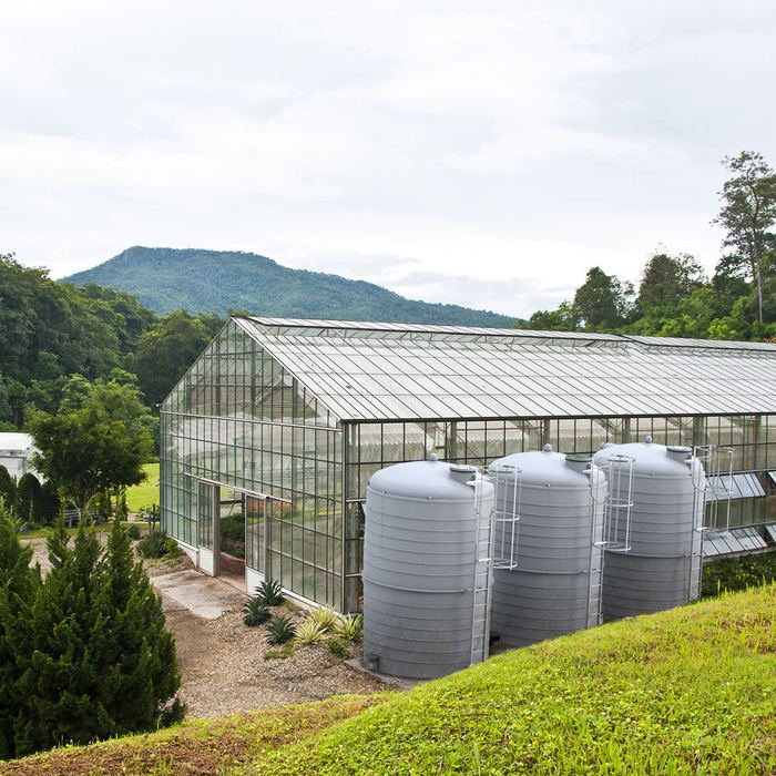 Cultures sous serre et réservoirs de stockage
